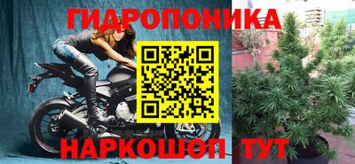 spice Волжск