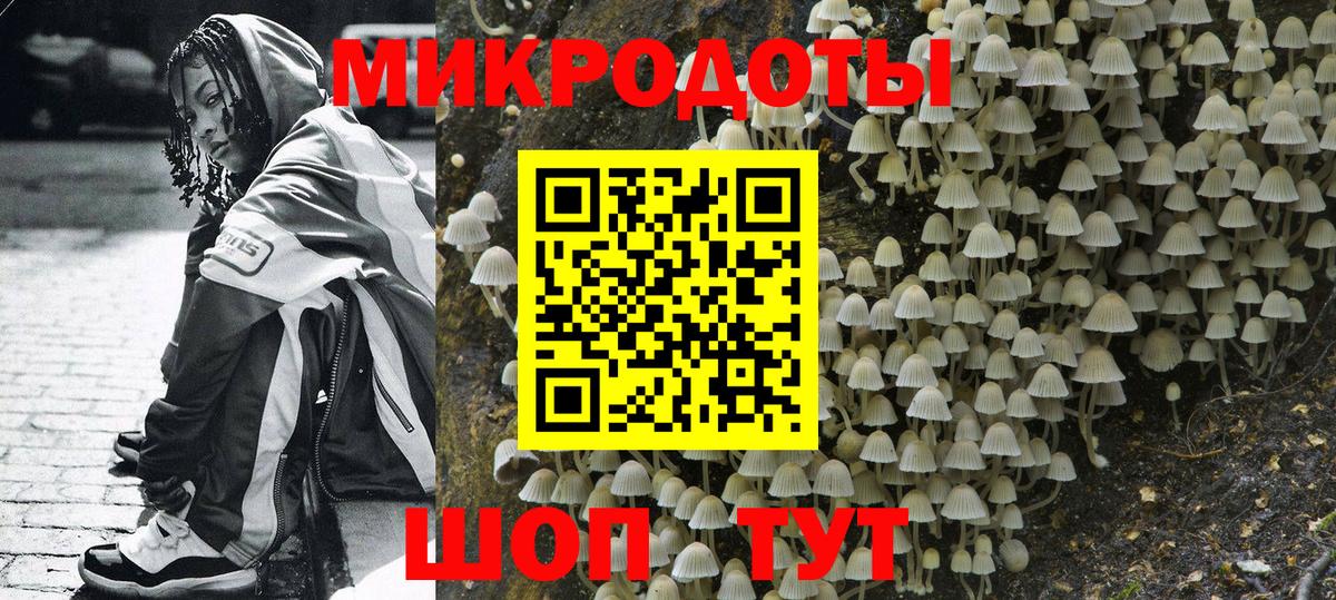 Псилоцибиновые грибы GOLDEN TEACHER Борзя