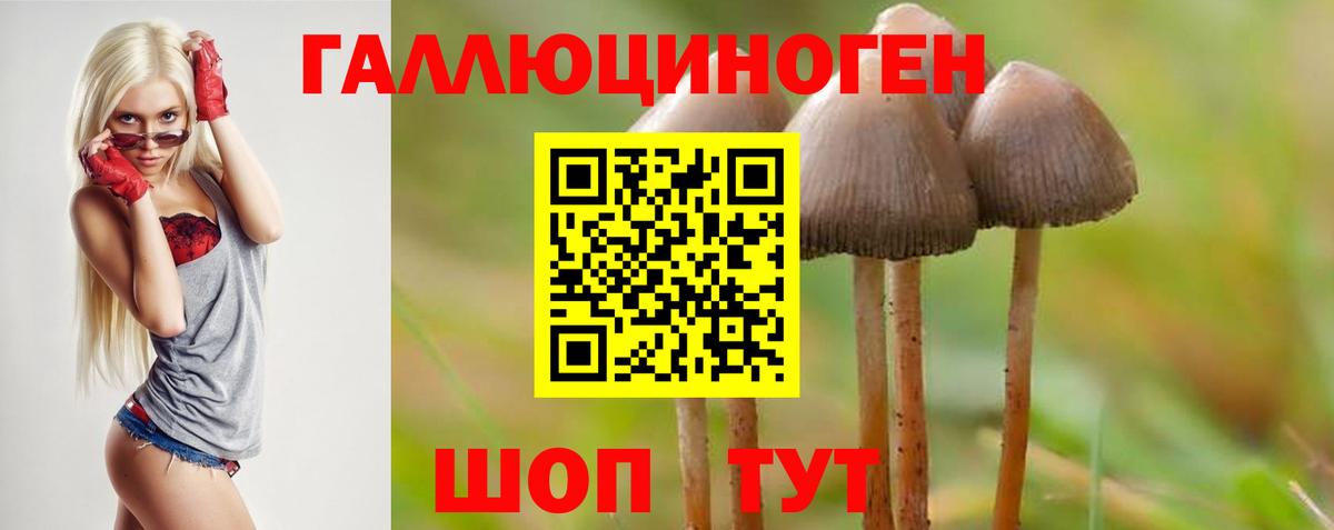 где можно купить   Вход с VPN  Борзя  Галлюциногенные грибы Cubensis  Псилоцибиновые грибы Psilocybine cubensis 